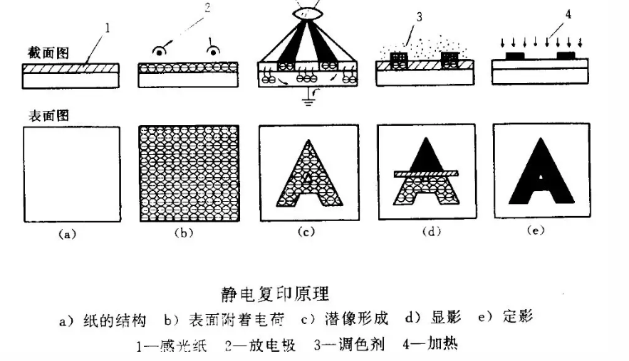 靜電植絨機(jī),地毯機(jī),地毯背膠機(jī),涂層機(jī),定型機(jī)